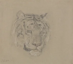 Hoofd van een tijger